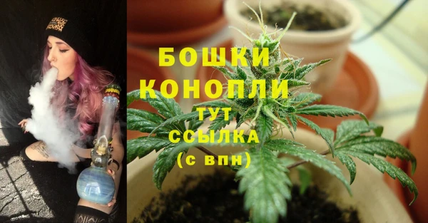 гидропоника Ельня