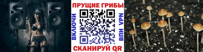 МЕГА ссылки Коломна Галлюциногенные грибы мухоморы купить